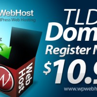 Domain Name Promotion Only at $10.99/year