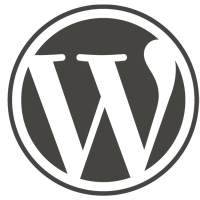 6 Tips for a Safer WordPress Hosted Website