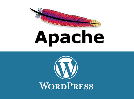 WordPress MultiSite Development in Ubuntu Localhost Part 2